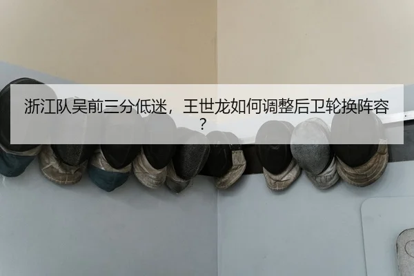 zhe-jiang-dui-wu-qian-san-fen-di-mi-wang-shi-long-ru-he-tiao-zheng-hou-wei-lun-huan-zhen-rong-2-735.jpg